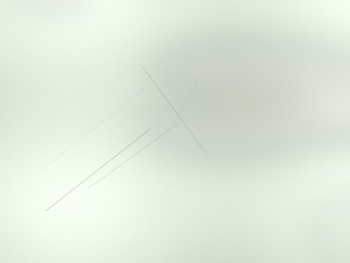 作品写真 4